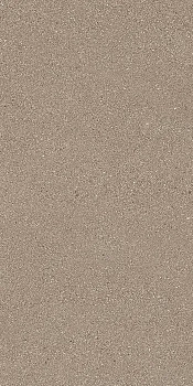 Ergon Grainstone Taupe Fine Grain Naturale 60x120 / Эргон Граинстоне
 Таупэ Фине Грайн
 Натуралье 60x120 